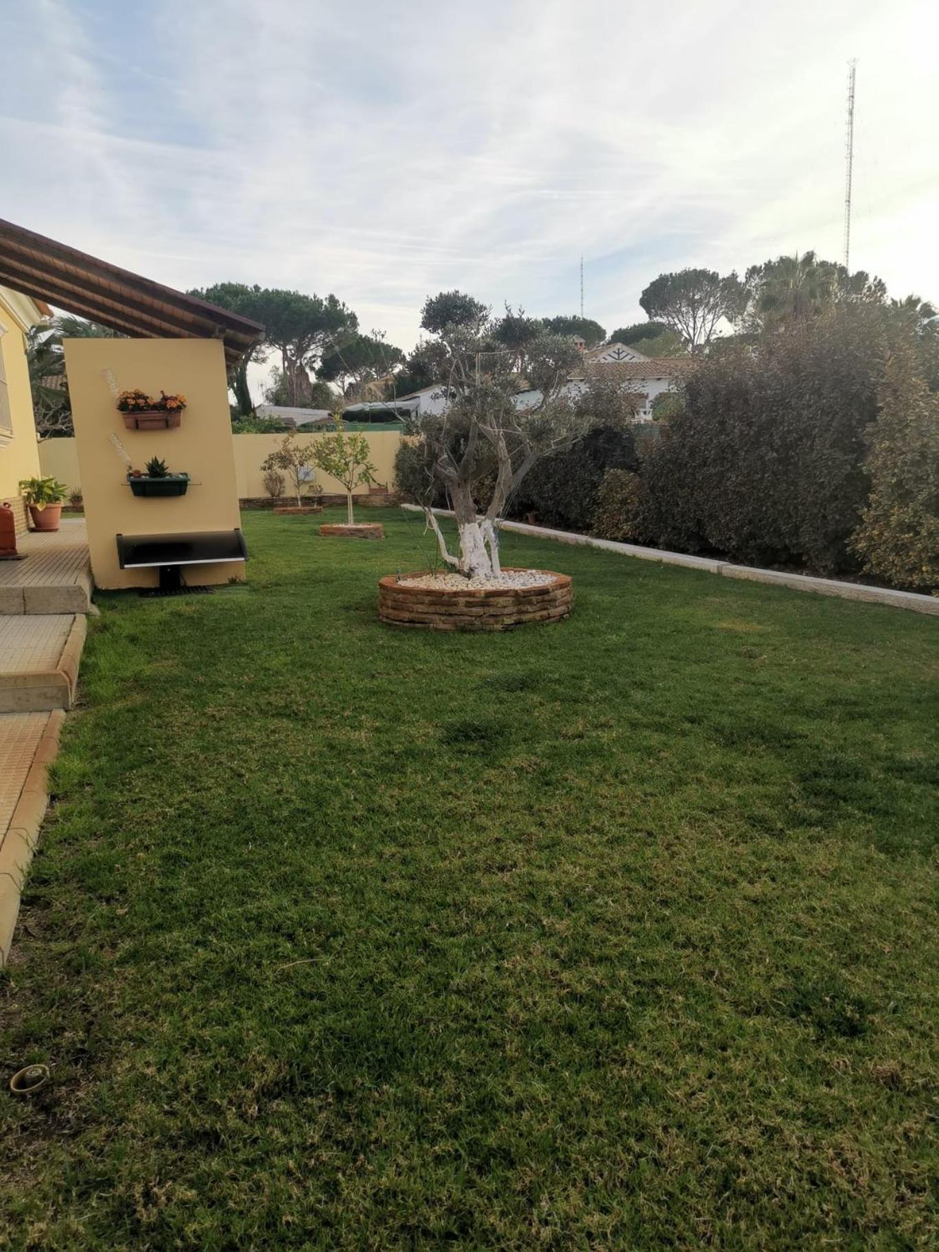 Suite Huelva Garden 阿尔哈拉克 外观 照片